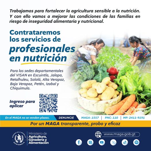 bolsa de trabajo para nutricionistas
