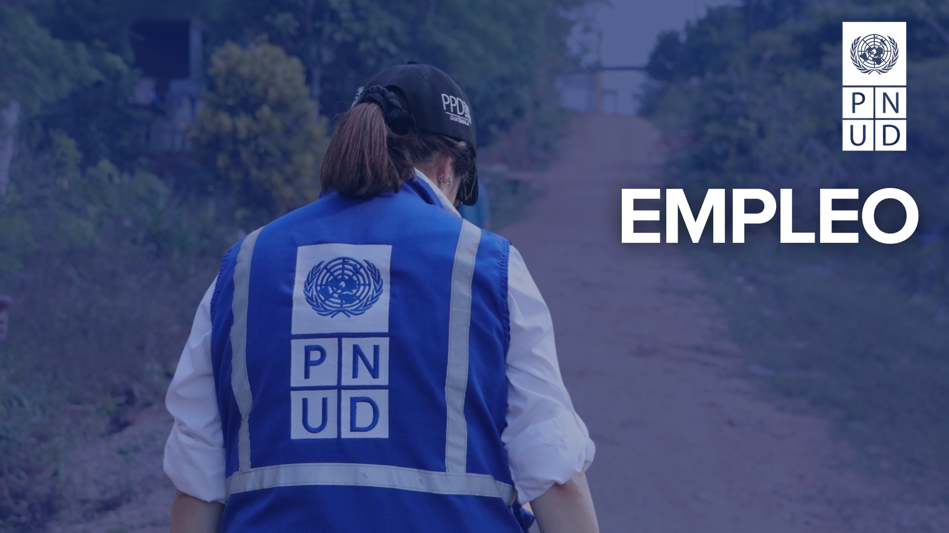 Oferta laboral para Nutricionista para Analista en Planificación y Gobernanza