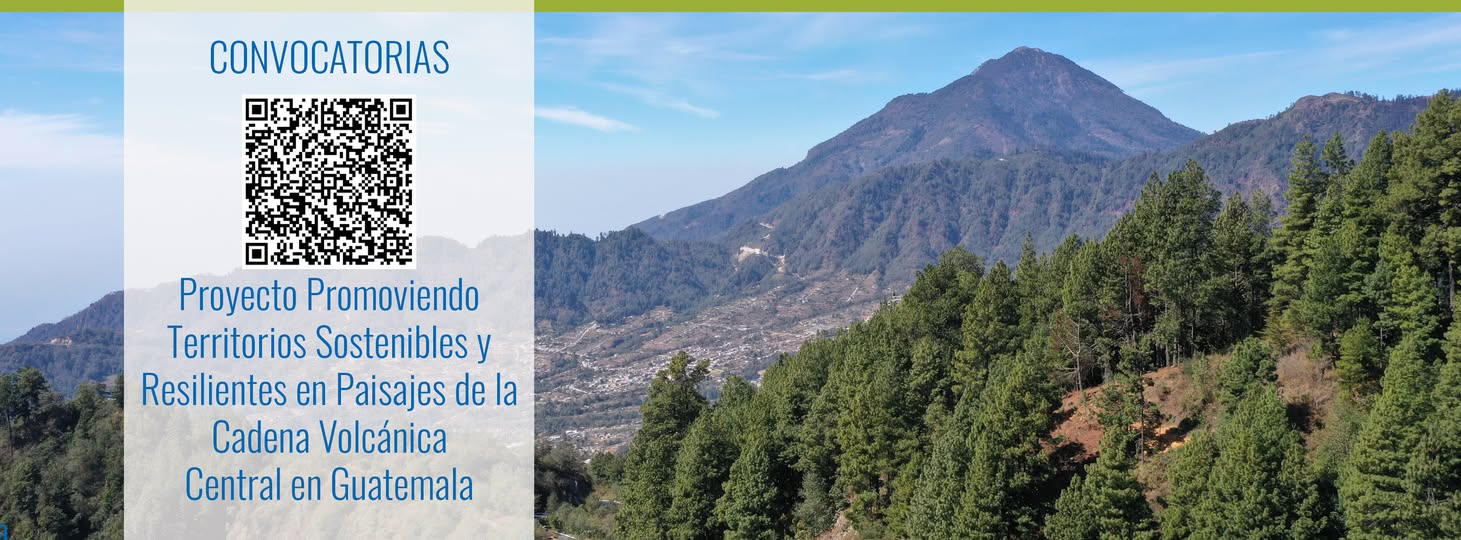 Oferta laboral para Biólogo (a) para consultoría (elaboración del Plan Maestro del Cerro de la Cruz, Antigua Guatemala, Sacatepéquez)