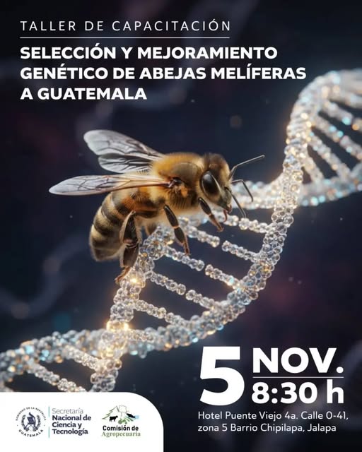 Taller “Selección y mejoramiento genético de abejas melíferas a Guatemala”