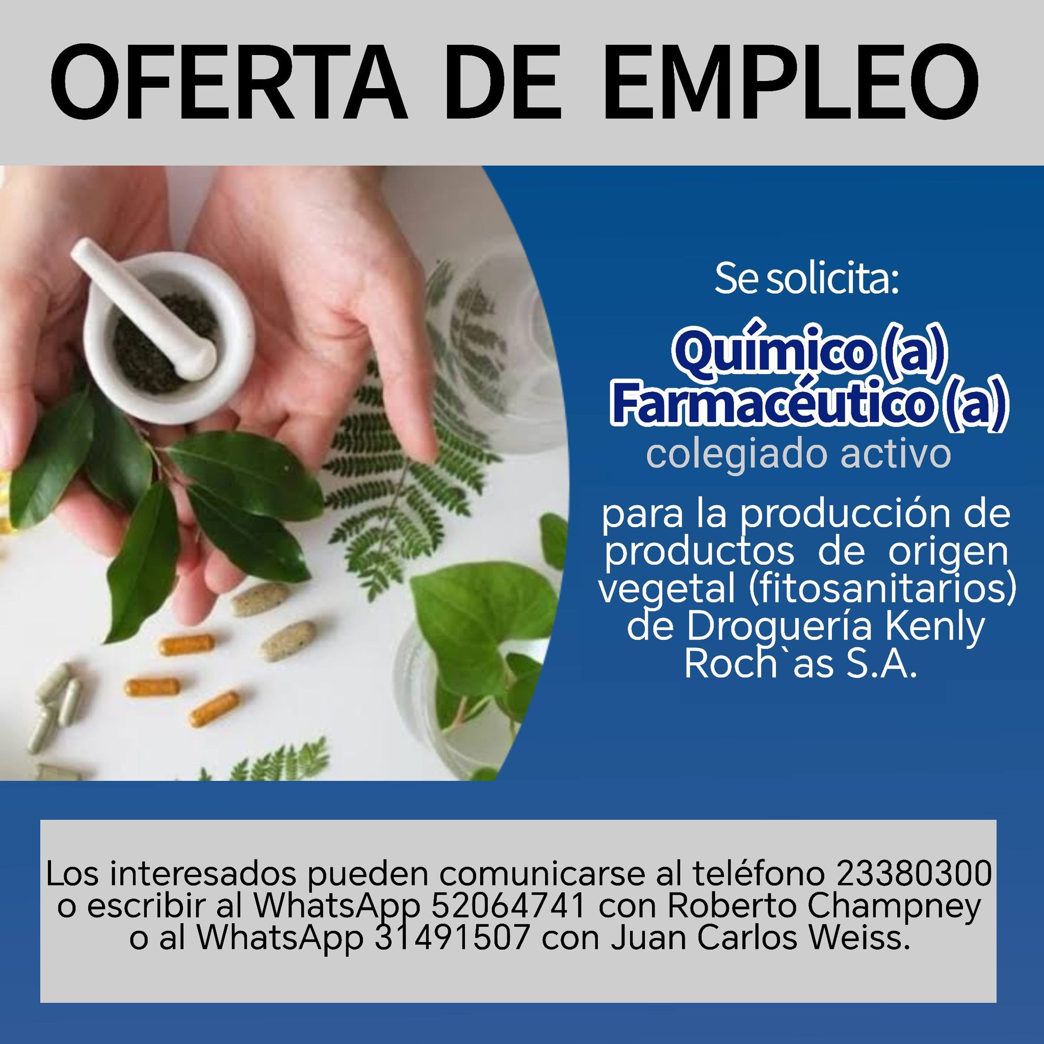 OFERTA LABORAL PARA QUÍMICO (A) FARMACÉUTICO (A) PARA PRODUCCIÓN DE PRODUCTOS DE ORIGEN VEGETAL