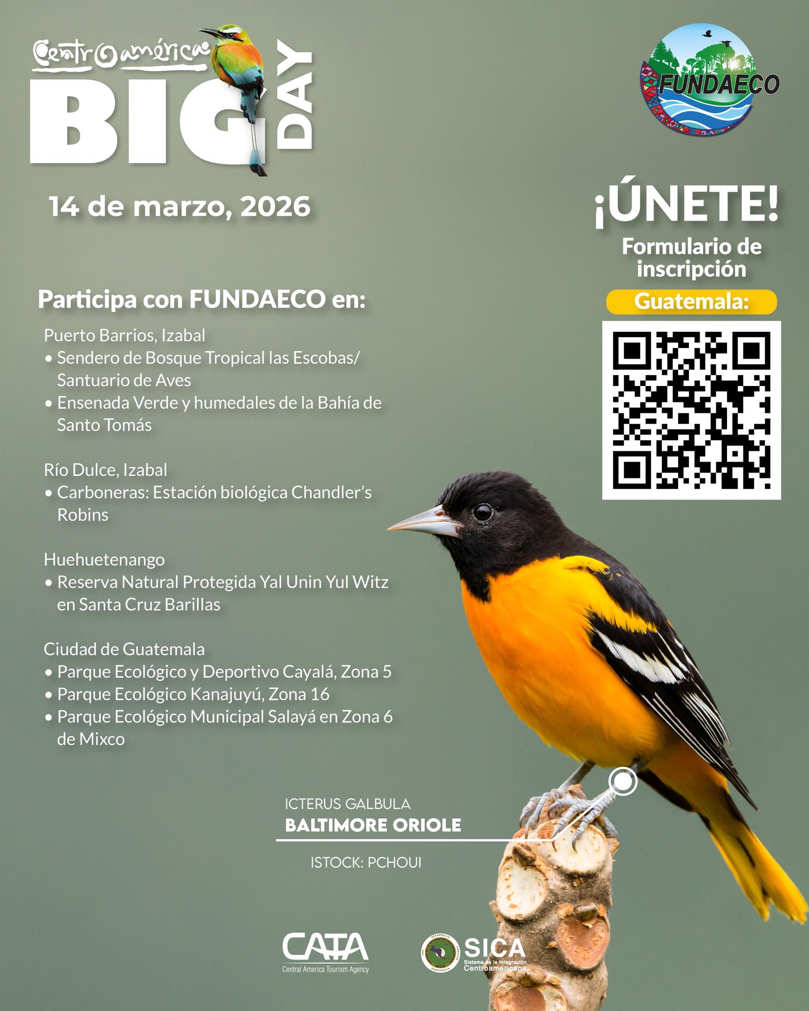 Centroamérica Big Day 2026