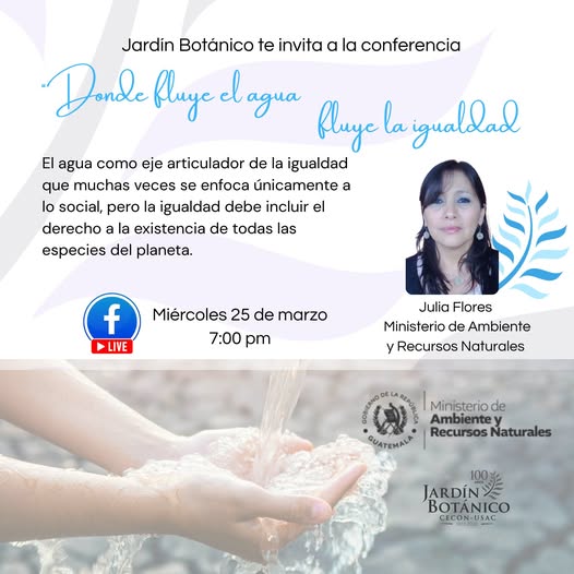 CHARLA VIRTUAL «Donde fluye el agua, fluye la igualdad»