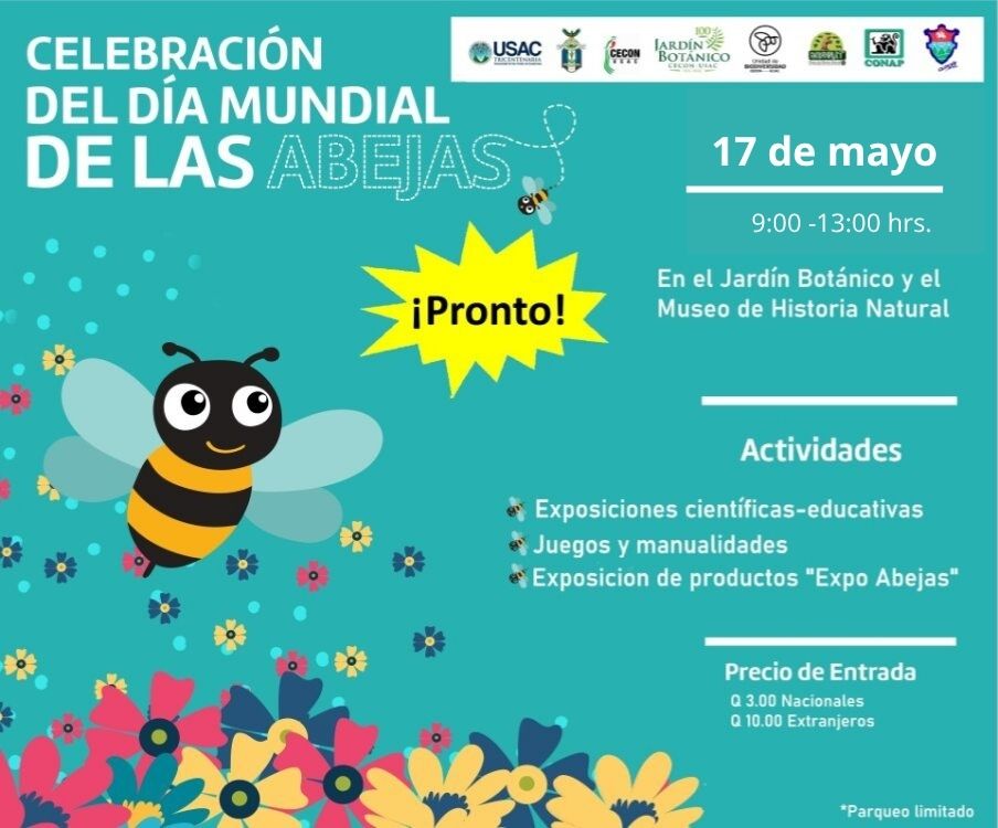 Celebración del Día Mundial de las Abejas 2026