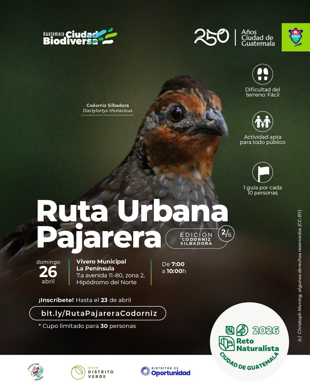 ¡SEGUNDA Ruta Urbana Pajarera del año!