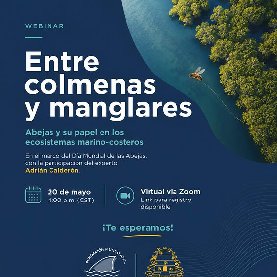 Webinar «Entre colmenas y manglares»