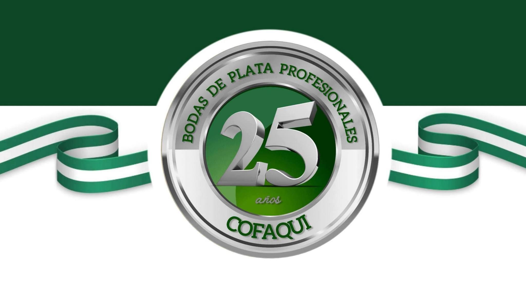 BODAS DE PLATA PROFESIONALES 2026