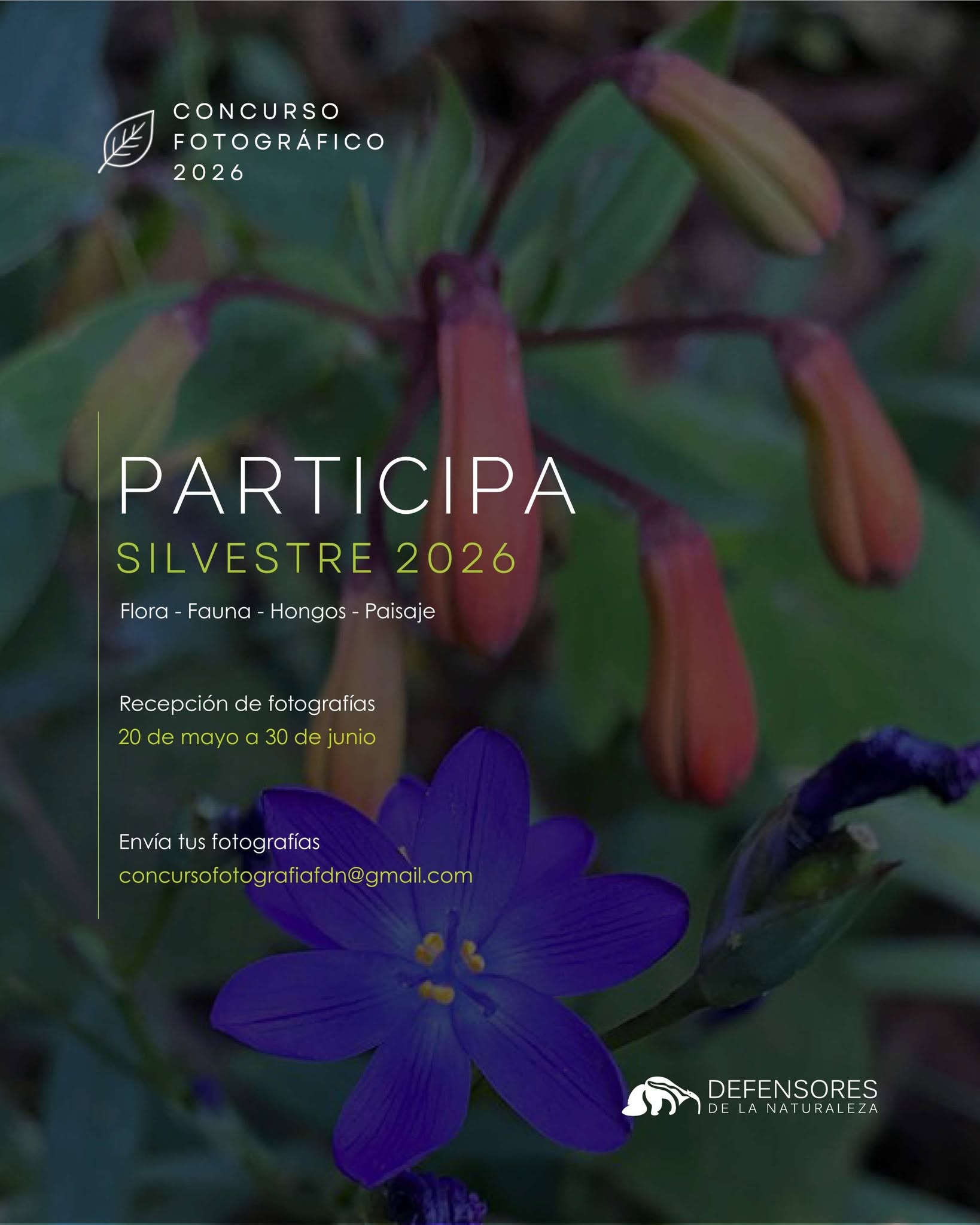Convocatoria nacional de fotografía de naturaleza 2026