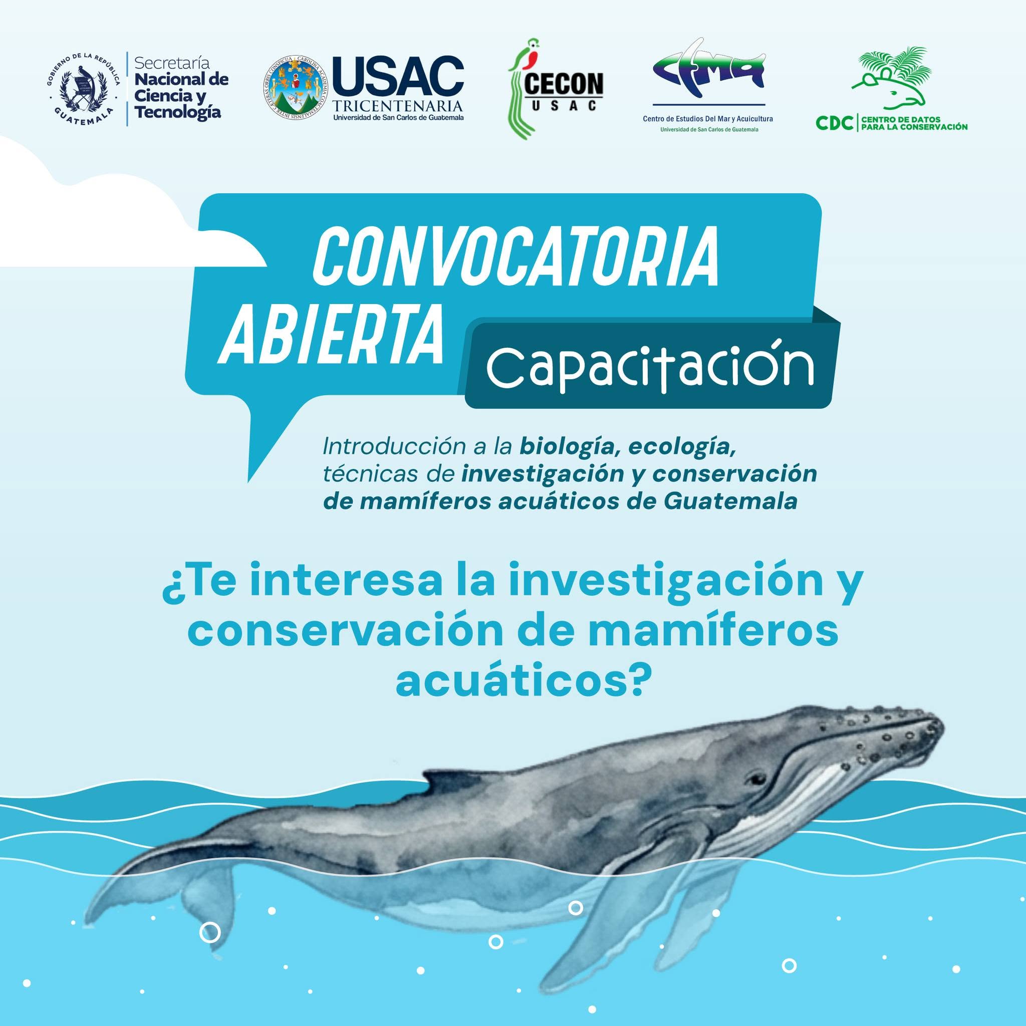 Capacitación «Introducción a la biología, ecología y técnicas de investigación y conservación de mamíferos acuáticos de Guatemala»
