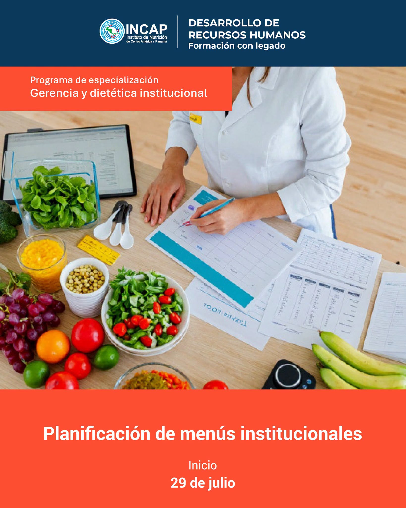 CURSO «PLANIFICACIÓN DE MENÚS INSTITUCIONALES»