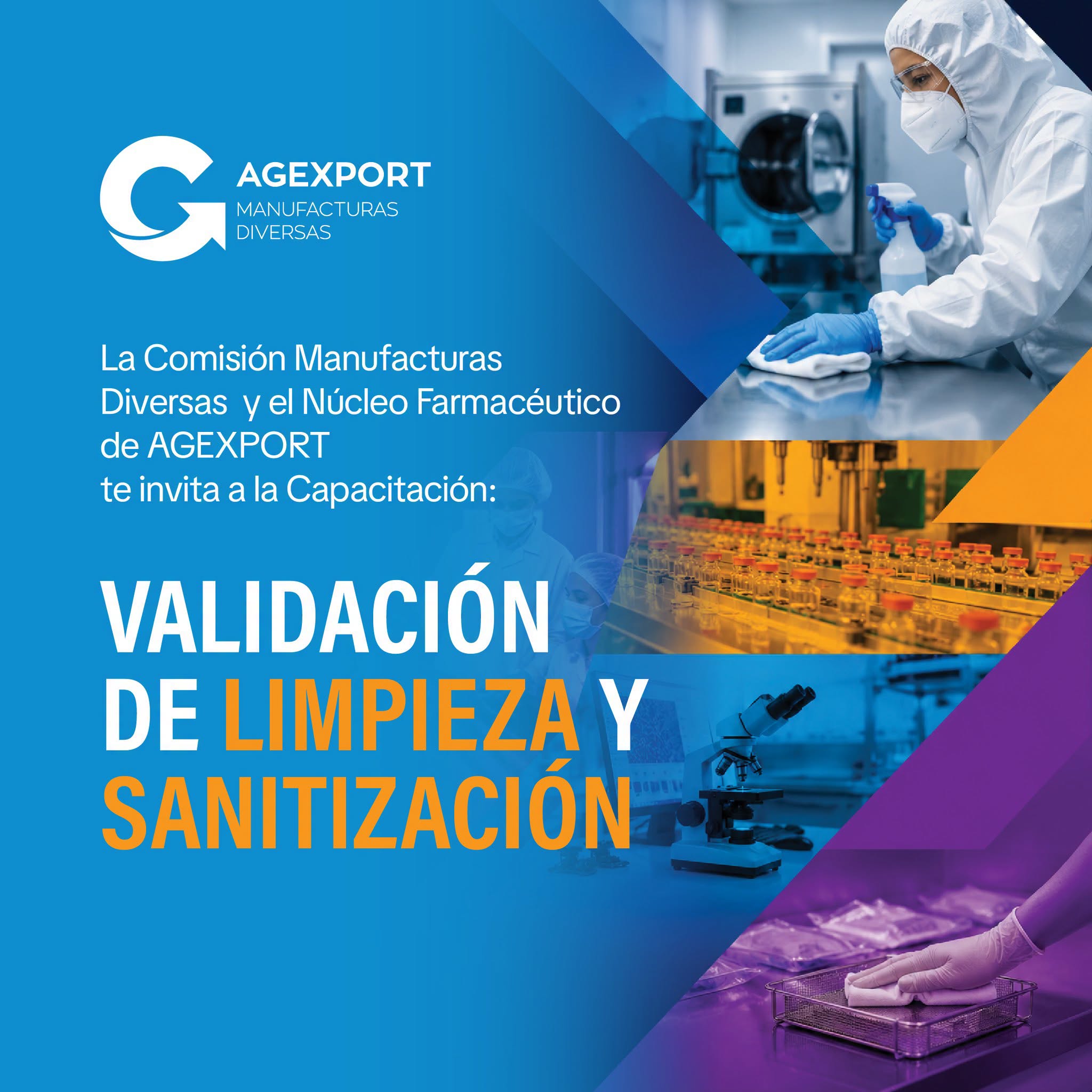 Capacitación «Validación de Limpieza y Sanitización»