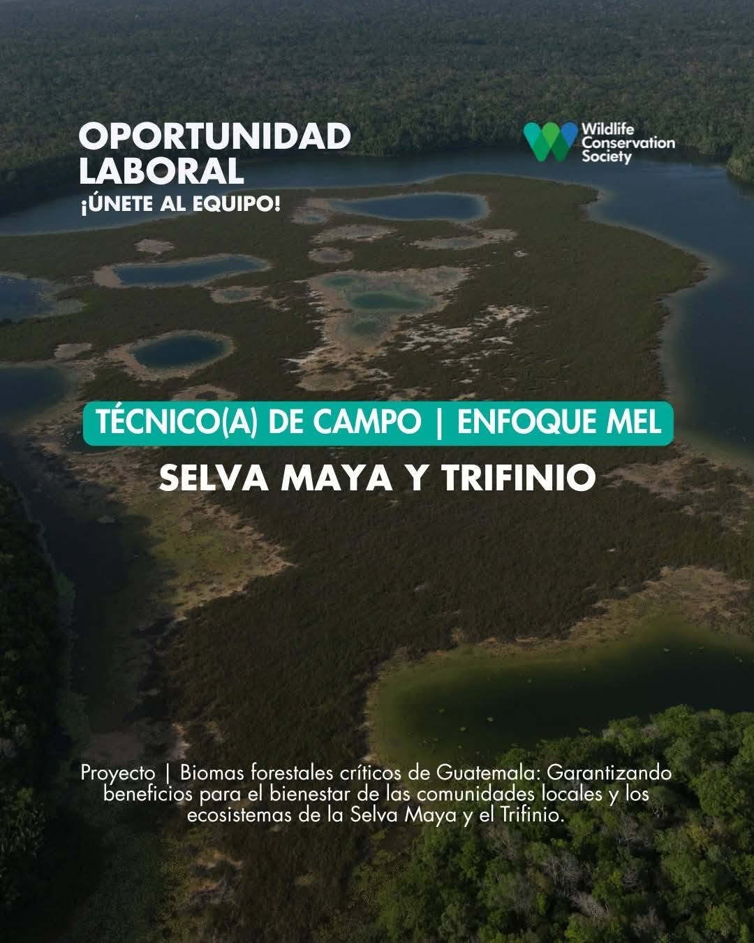 OFERTA LABORAL PARA BIÓLOGO (A)