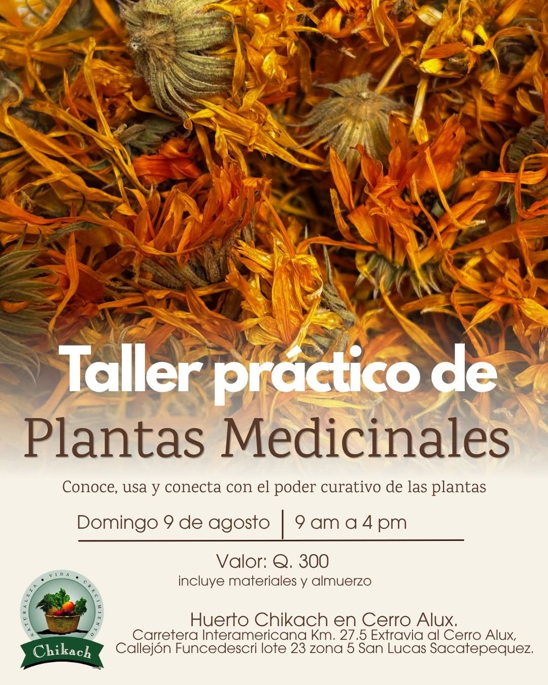 Taller práctico de plantas medicinales