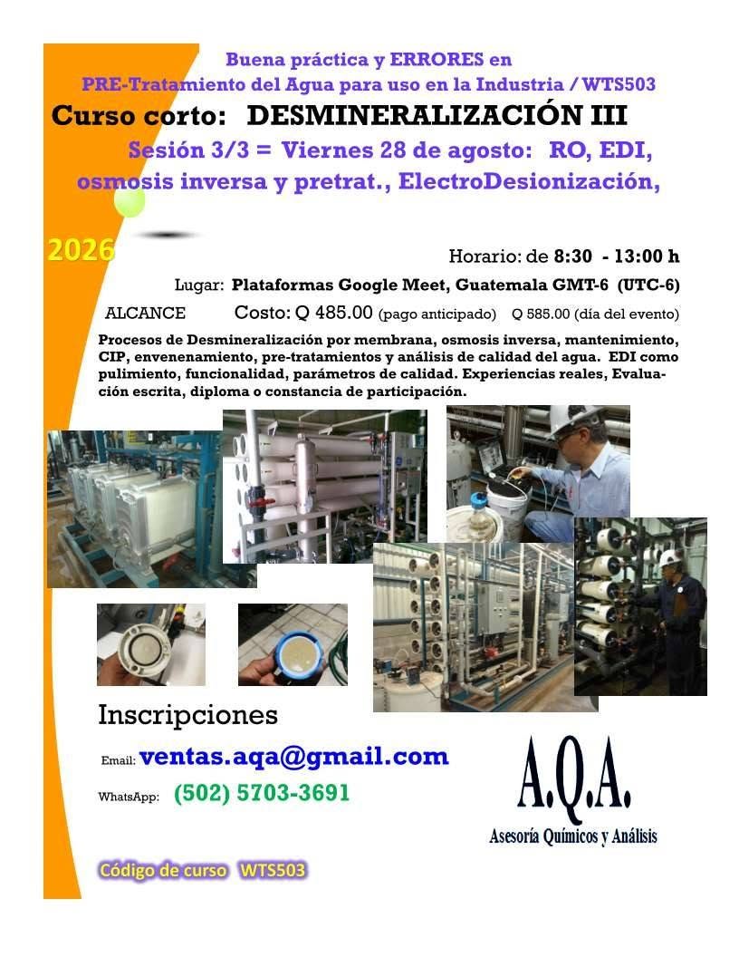 Curso «Desmineralización II»