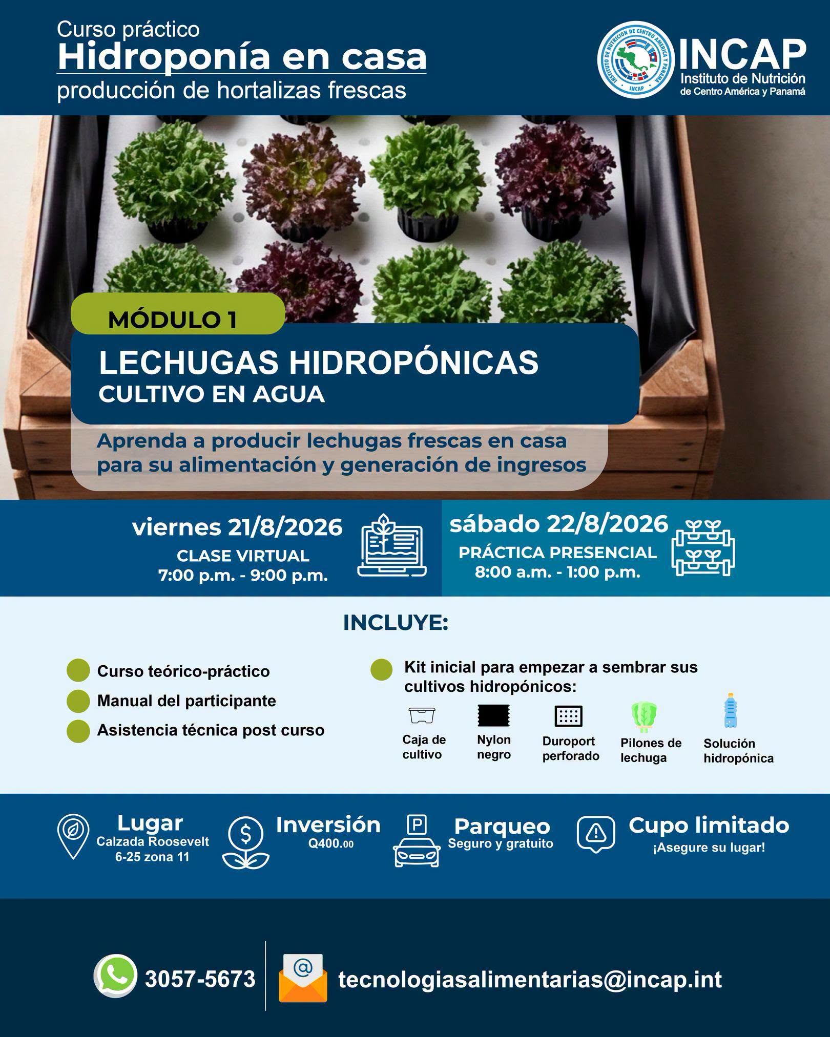 Curso práctico: Hidroponía en casa para la producción de hortalizas frescas