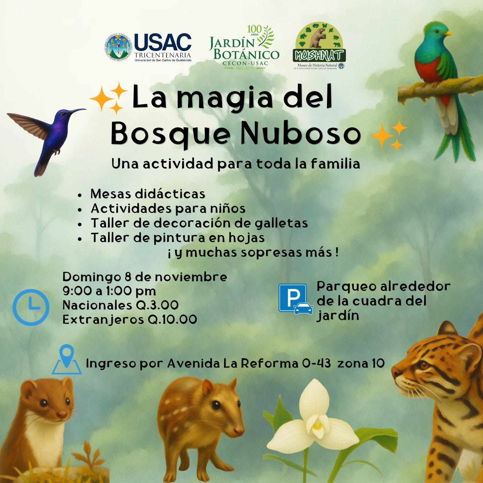 ¡LA MAGIA DEL BOSQUE NUBOSO!