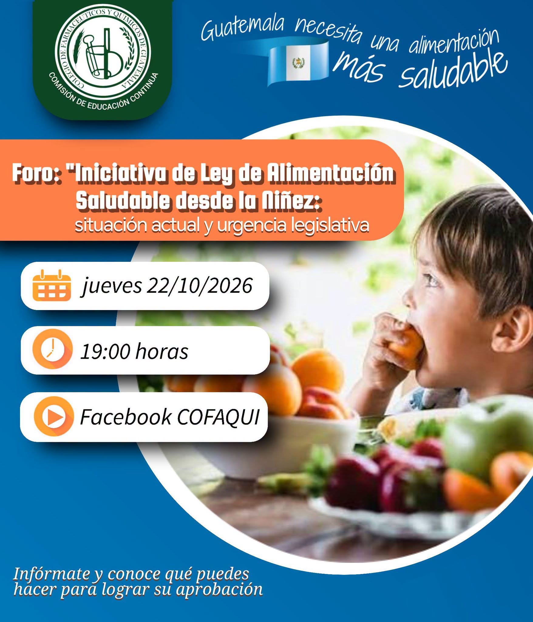 𝗙𝗼𝗿𝗼 «𝗜𝗻𝗶𝗰𝗶𝗮𝘁𝗶𝘃𝗮 𝗱𝗲 𝗟𝗲𝘆 𝗱𝗲 𝗔𝗹𝗶𝗺𝗲𝗻𝘁𝗮𝗰𝗶ó𝗻 𝗦𝗮𝗹𝘂𝗱𝗮𝗯𝗹𝗲 𝗱𝗲𝘀𝗱𝗲 𝗹𝗮 𝗡𝗶ñ𝗲𝘇: 𝘀𝗶𝘁𝘂𝗮𝗰𝗶ó𝗻 𝗮𝗰𝘁𝘂𝗮𝗹 𝘆 𝘂𝗿𝗴𝗲𝗻𝗰𝗶𝗮 𝗹𝗲𝗴𝗶𝘀𝗹𝗮𝘁𝗶𝘃𝗮»